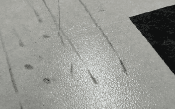 タイヤ痕・ヒールマーク